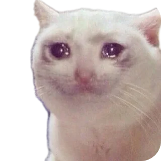 Стикер Идиотизм - 4