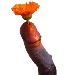 Стикер Идиотизм - 2