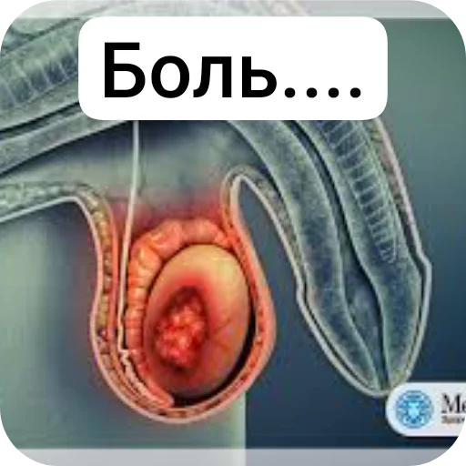 Sticker Igor2818 - 1