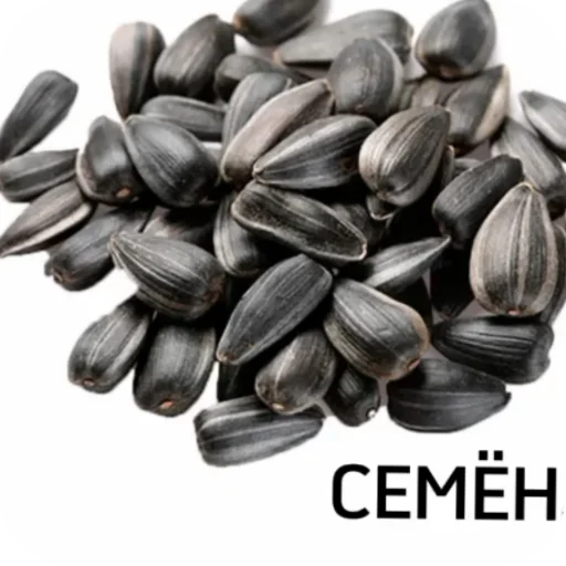 Sticker Igor2818 - 1