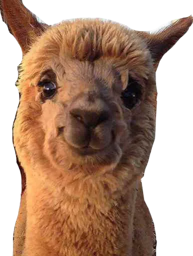 Sticker IgorSmoyankin - 1