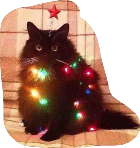 Sticker IgorSmoyankin - 1