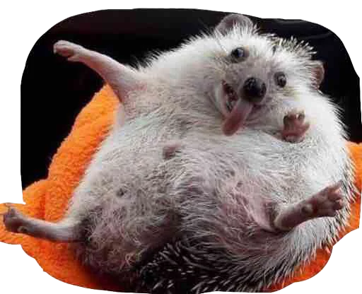 Sticker IgorSmoyankin - 1