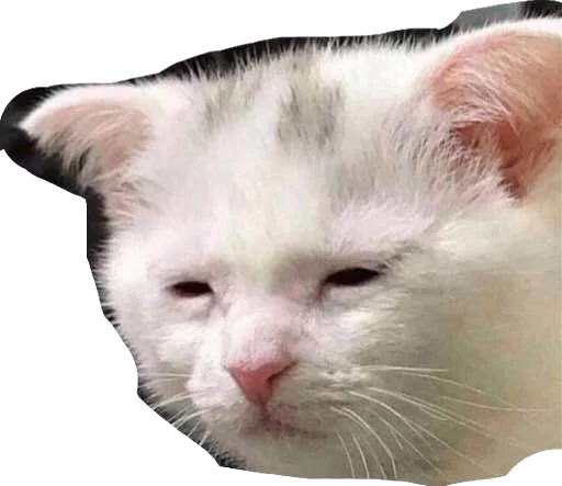 Стикер IgorSmoyankin - 1