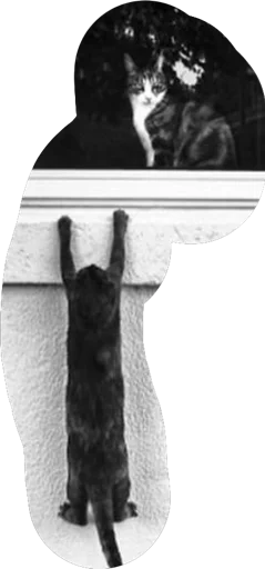 Sticker IgorSmoyankin - 1