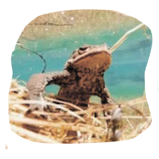 Sticker IgorSmoyankin - 1