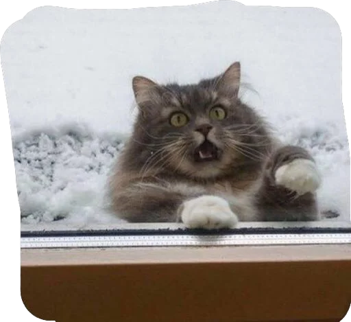 Sticker IgorSmoyankin - 1