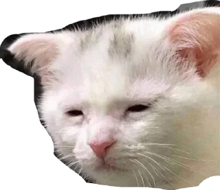 Стикер Yes - 5