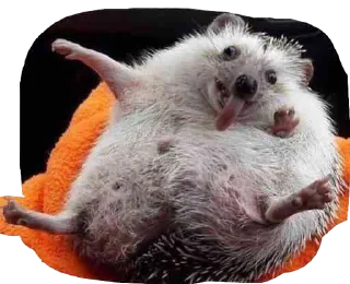 Стикер Yes - 9