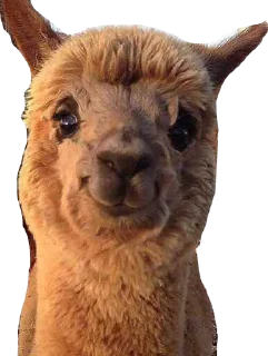 Стикер Yes - 11