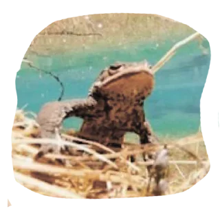 Стикер Yes - 1