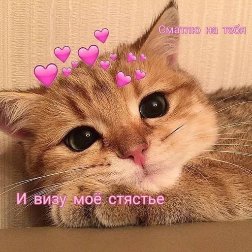 Стикер Ilovearina :: @fStikBot - 9