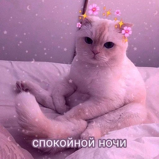 Стикер Ilovearina :: @fStikBot - 6