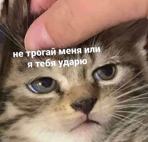 Стикер Ilovearina :: @fStikBot - 4