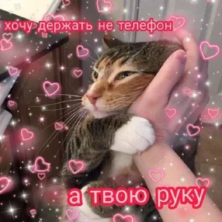 Sticker Больше стикеров 👉🏻 @stickertg4 - 5