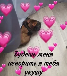 Sticker Больше стикеров 👉🏻 @stickertg4 - 3