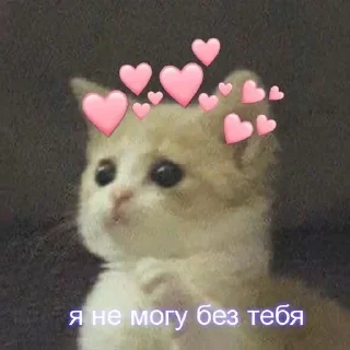 Sticker Больше стикеров 👉🏻 @stickertg4 - 1