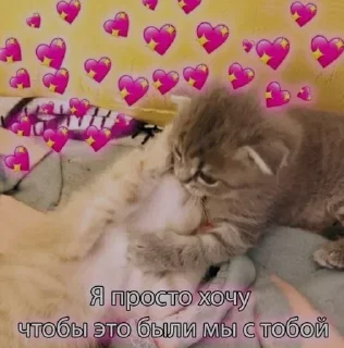 Sticker Больше стикеров 👉🏻 @stickertg4 - 11