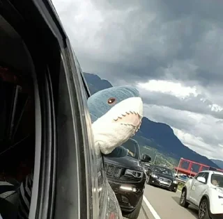 Стикер Ikea Shark @stickersb2b - 4