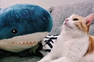 Стикер Ikea Shark @stickersb2b - 7