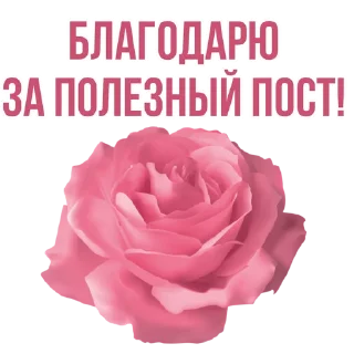 Стикер @ikonostasdoma - 8