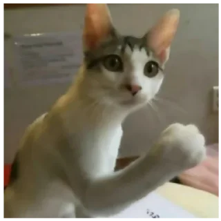 Sticker или нахуй отсбда - 8