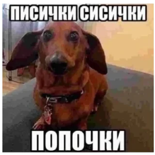 Sticker или нахуй отсбда - 9