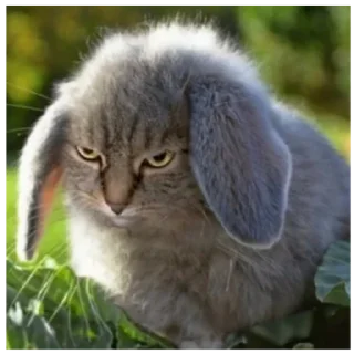 Sticker или нахуй отсбда - 10