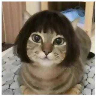 Sticker или нахуй отсбда - 11