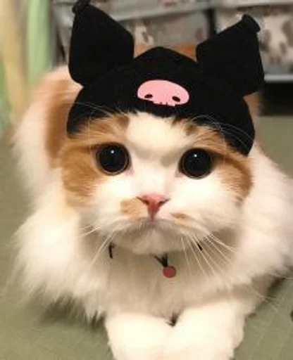 Я тебя люблю :: @fStikBot - animal