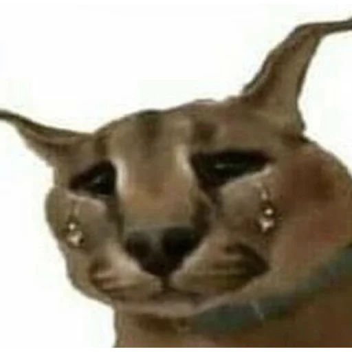 Sticker Ilovboobs - 1