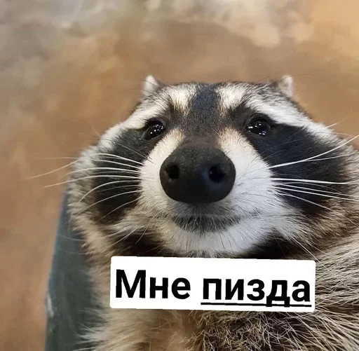 Sticker Avani :: @fStikBot - 9