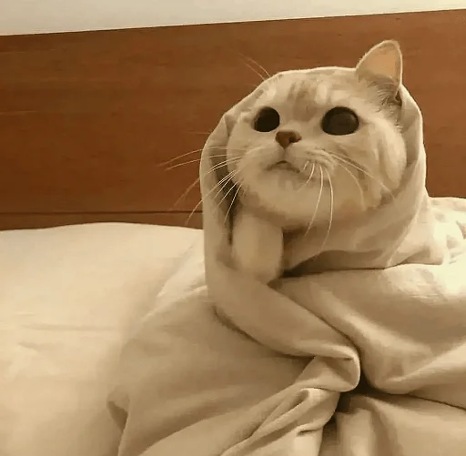 Стикер Iloveucat - 1