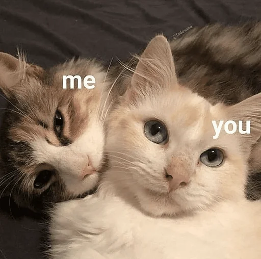 Стикер Iloveucat - 1