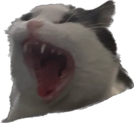 Стикер Ilukha's Golden Collection - 5