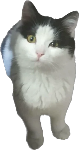 Стикер Ilukha's Golden Collection - 2