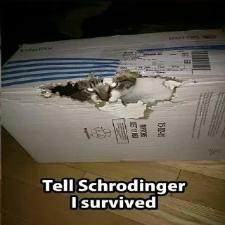 Стикер F A C E S  by MadL1me - 4