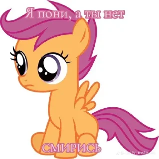 Sticker I pony a ti net smiris - 6