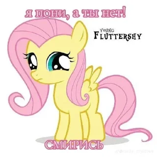 Sticker I pony a ti net smiris - 1