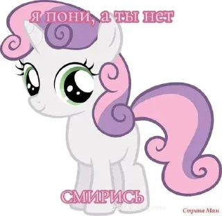 Sticker I pony a ti net smiris - 9