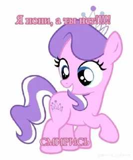 Sticker I pony a ti net smiris - 10