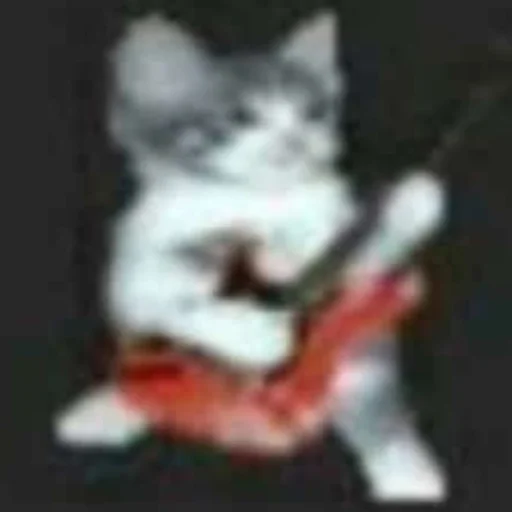 Имбовые котики @stikirstipo - 