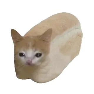 Sticker Имбовые котики @stikirstipo - 3