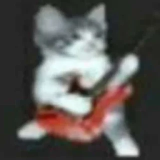 Sticker Имбовые котики @stikirstipo - 10