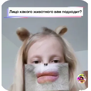 Sticker Имбовые стики - 0