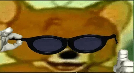 eyewear spectacles accessory