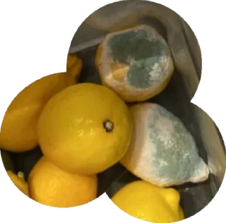 Sticker Bar boomerang - 7