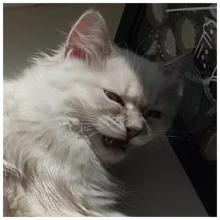 Sticker Imogwai - 10