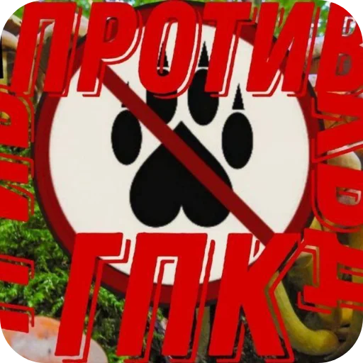 Империя великих грибов(ИВГ) - 