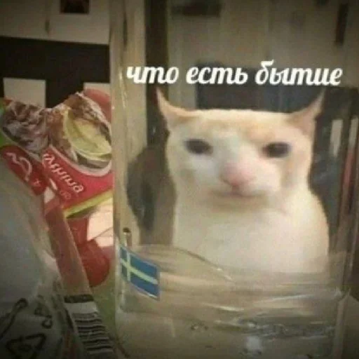 Стикер Impossible_meme - 1